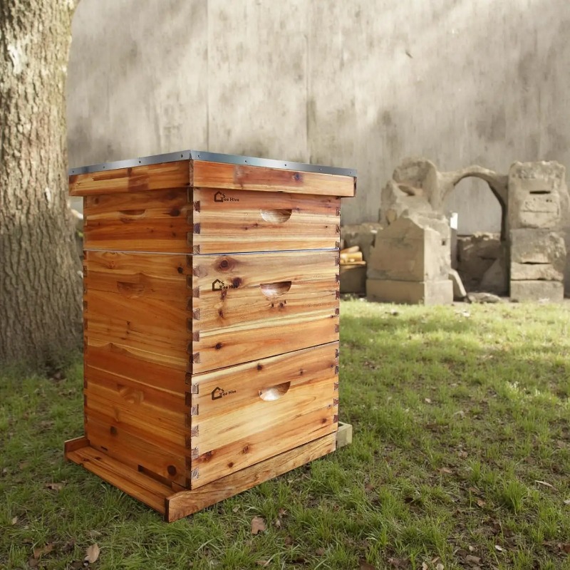 10-Frame Complete Beehive Kit, - Beehive Frame Wax recension och pris