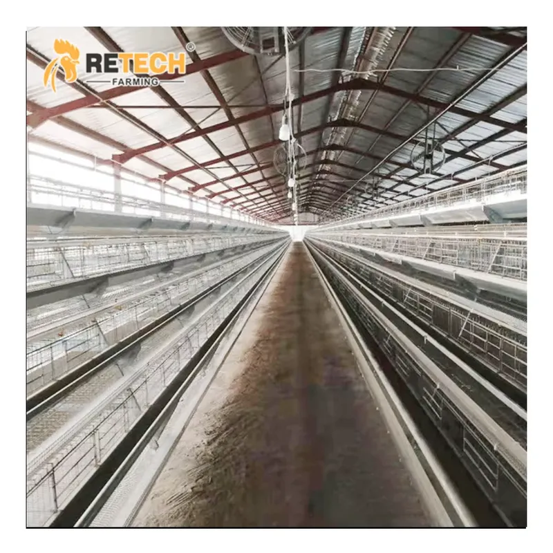 Automatic Layer Chicken Cage A - Farming Africa recension och pris