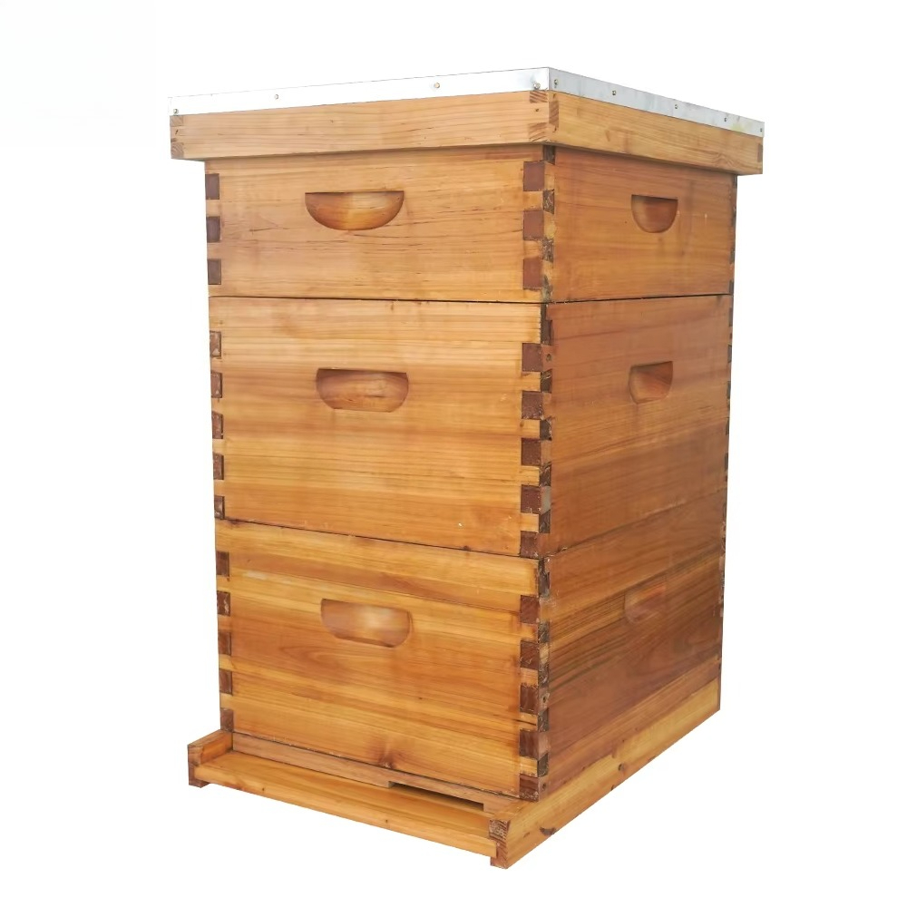 Complete 3-layer wax-soaked be - Beehive Frame Wax recension och pris