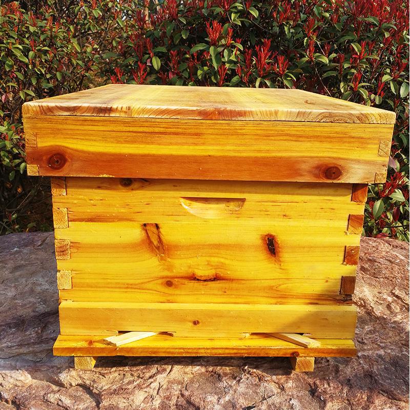 Bee beehive Full set of beekee - Beehive Frame Wax recension och pris